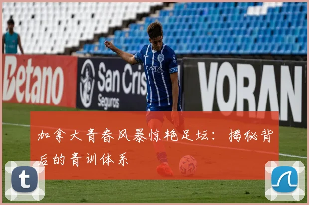 加拿大青春风暴惊艳足坛:揭秘背后的青训体系